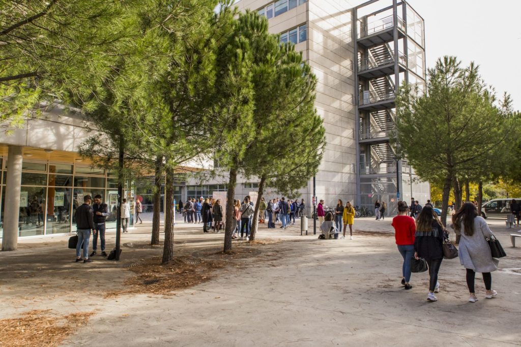 nos écoles partenaires photo Montpellier Management