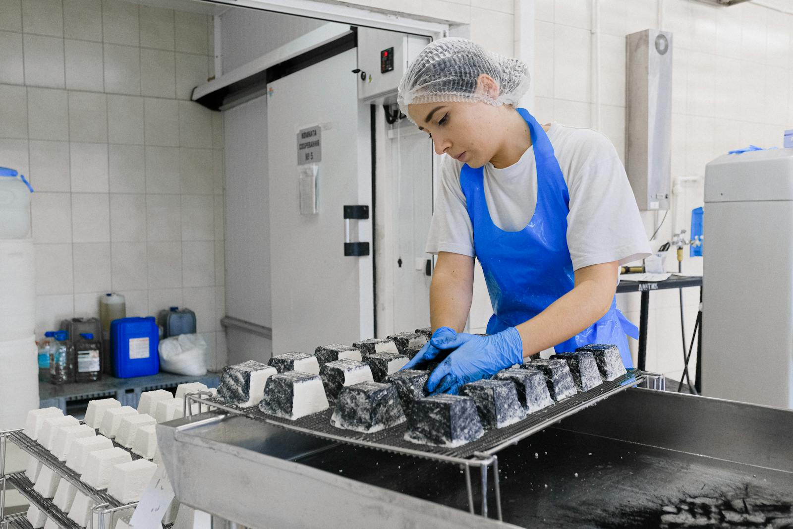 Les métiers de l'agroalimentaire. A worker in a cheese factory examines cheese blocks during production, focusing on quality control.